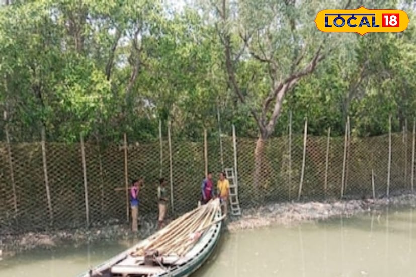 দক্ষিণ চব্বিশ পরগনা বনদফতর হল পশ্চিমবঙ্গের অত্যন্ত গুরুত্বপূর্ণ একটি প্রশাসনিক বনবিভাগ। এই বিভাগের প্রধান কাজ হল সুন্দরবন ম্যানগ্রোভ অরণ্যের একটি বিশাল অংশের সংরক্ষণ ও ব্যবস্থাপনা করা। (ছবি ও তথ্য: সুমন সাহা) 