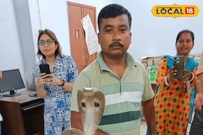 সেন্ট্রাল লাইব্রেরির দখল নিল পূর্ণবয়স্ক গোখরো! হাড়হিম করা দৃশ্যে দিশেহারা কর্মীরা