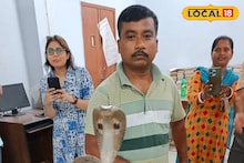 Snake: সেন্ট্রাল লাইব্রেরির দখল নিল পূর্ণবয়স্ক গোখরো! হাড়হিম করা দৃশ্যে দিশেহারা কর্মীরা