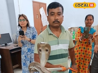 সেন্ট্রাল লাইব্রেরির দখল নিল পূর্ণবয়স্ক গোখরো! হাড়হিম করা দৃশ্যে দিশেহারা কর্মীরা