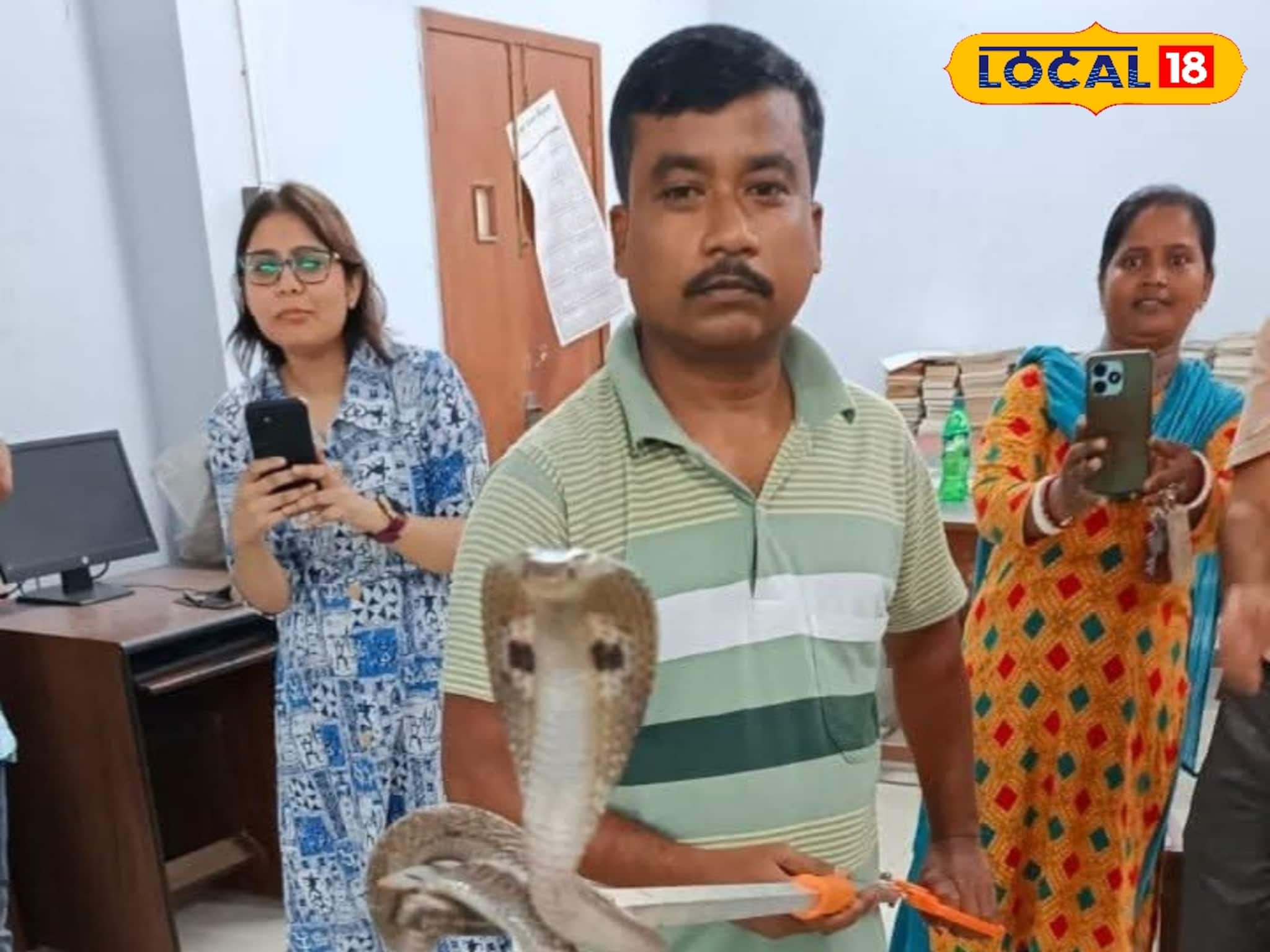 Snake: সেন্ট্রাল লাইব্রেরির দখল নিল পূর্ণবয়স্ক গোখরো! হাড়হিম করা দৃশ্যে দিশেহারা কর্মীরা