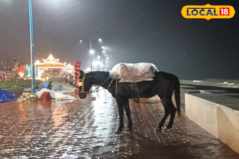 বুধবার দুপুর পর্যন্ত টানা বৃষ্টির কারণে দিঘার সৈকত প্রায় ফাঁকা ছিল। পর্যটকরা হোটেলেই বন্দী ছিলেন। বিকেলে বৃষ্টি কিছুটা কমলে, সৈকতে ভিড় জমান পর্যটকরা। বিকালে কিছুটা শান্ত থাকলেও রাতে ফের উত্তাল হয়ে উঠেছে দিঘা। উত্তাল ঢেউ আছড়ে পড়ছে উপকূলে। প্রশাসন বারবার মাইকিং করে সতর্ক করছে, যেন কেউ সমুদ্রের খুব কাছে না যান। তবুও অনেক পর্যটককে দেখা যায় মোবাইলে ভিডিও করতে, উত্তাল সমুদ্রের ছবি তুলতে।