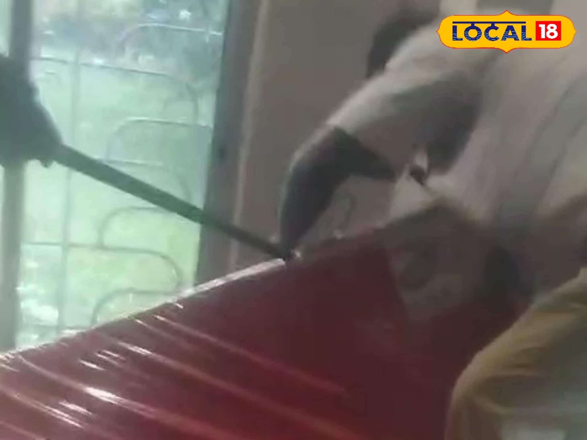 Snake: ভয়ানক শব্দ শোনা যাচ্ছিল বিছানার পাশ থেকে! তোষক তুলতেই চক্ষু চড়ক গাছ, ছিটকে সরে যেতে হল সবাইকে, হাড়হিম ঘটনা