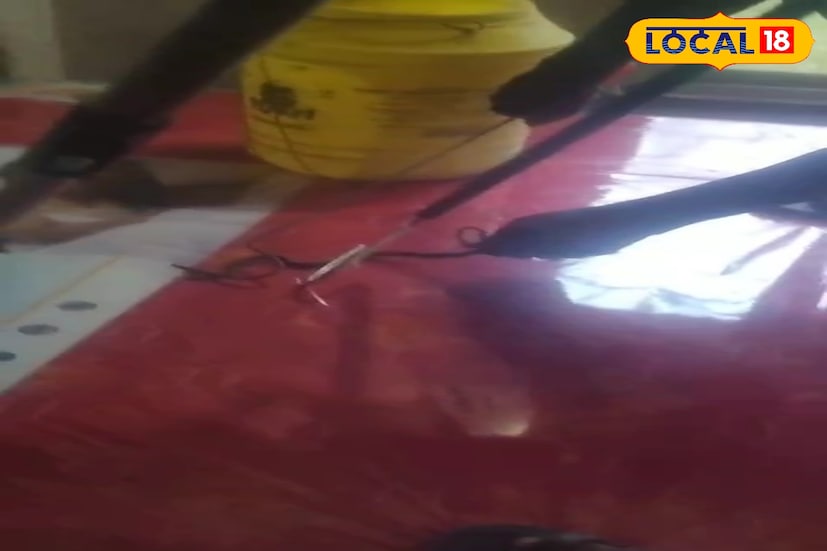 ওই পরিবার, স্থানীয় স্বেচ্ছাসেবী সংগঠন ' তরুণোদয় ফাউন্ডেশন ' এর সঙ্গে যোগাযোগ করেন। খুবই দ্রুততার সঙ্গে উদ্ধারকারী দলের সদস্যরা ঐ স্থানে পৌঁছয়। বেশ কিছুক্ষণ খোঁজাখুঁজির পর তোষকের তলা থেকে তিনটি গোখরো সাপের বাচ্চা উদ্ধার হয়। এর পর গোটা ঘরটির তল্লাশি নেওয়া হয়, আর কিছু পাওয়া যায়নি।