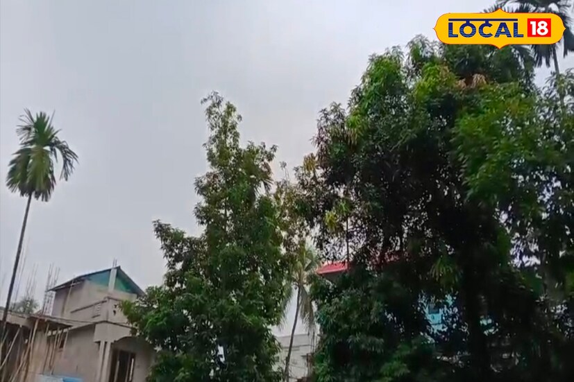 প্রশাসনের দাবি, নদী তীরবর্তী ও নিচু এলাকায় নজরদারি চলছে। প্রয়োজনে ত্রাণশিবির খোলার ব্যবস্থাও রাখা হয়েছে। আপাতত জলপাইগুড়ির মানুষ প্রার্থনা করছেন এই বৃষ্টি যেন আর বিপদ না ডেকে আনে। (ছবি ও তথ্য: সুরজিৎ দে)