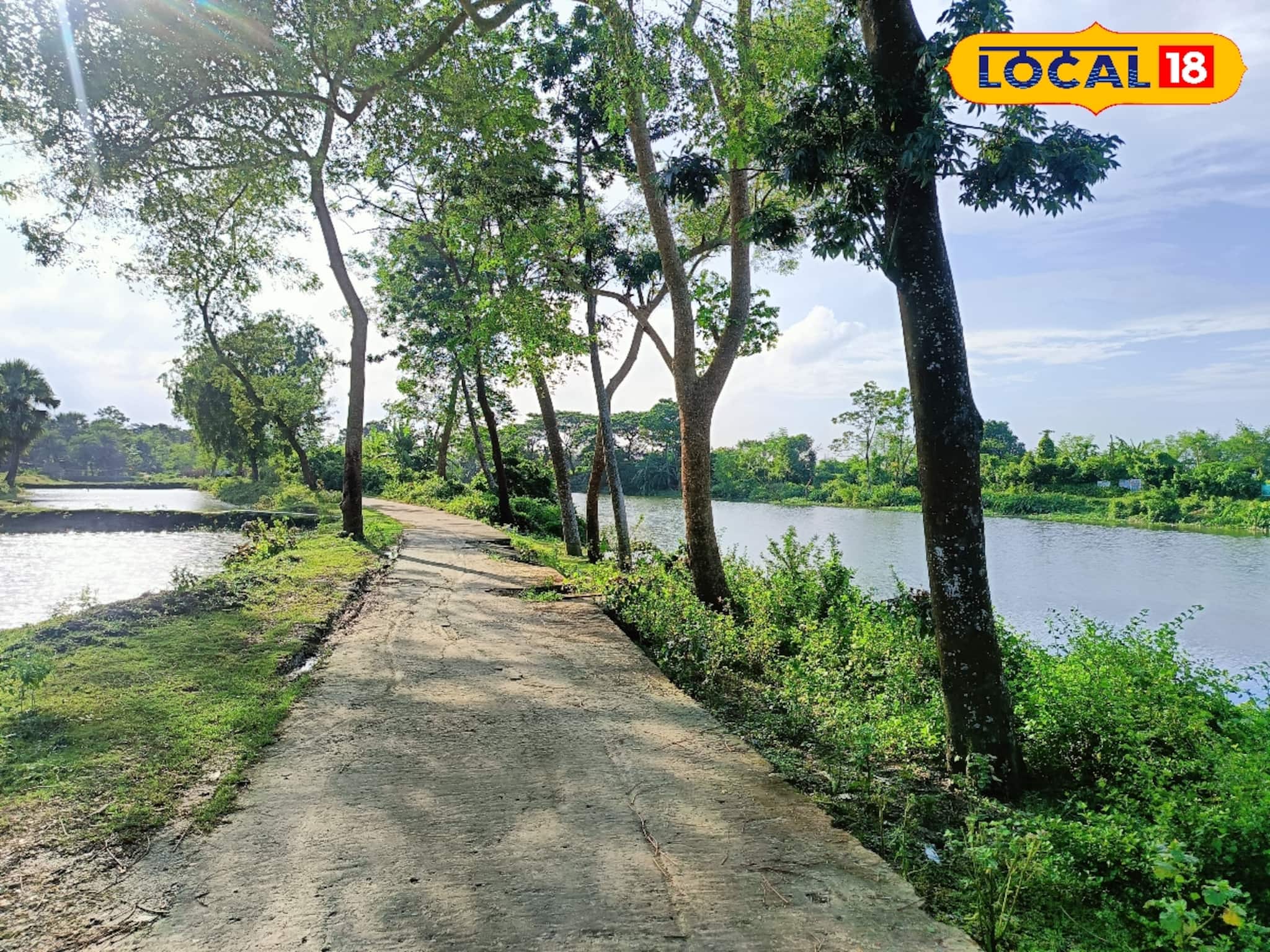 কলকাতার কাছেই সবুজে মোড়া গন্তব্য, একদিনের ছুটিতে ঘুরে আসুন হাড়োয়ার কুটলি সমোজপুর