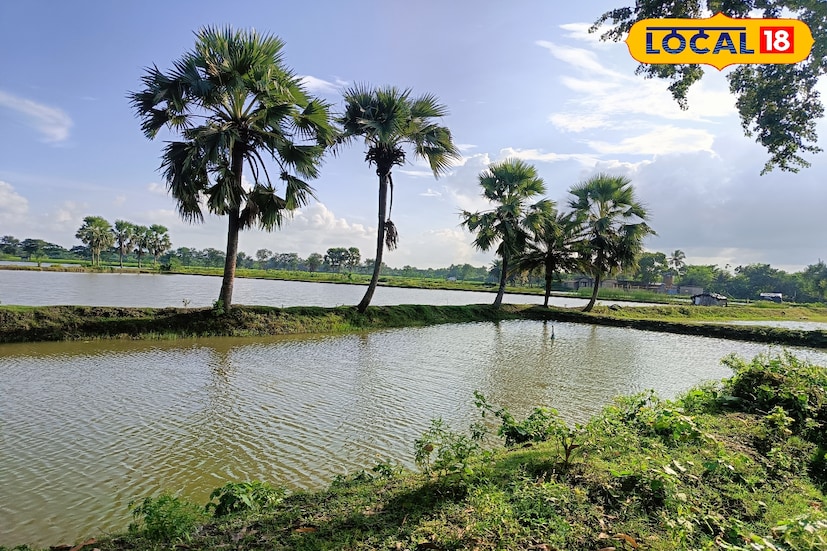 প্রকৃতির পাশাপাশি এখানকার জীবিকারও একটি বিশেষ দিক আছে— মাছ চাষ। চারপাশে চোখ মেললেই দেখা মেলে বিশাল ভেড়ি বা জলাশয়ের, যেখানে নানা জাতের মাছ চাষ হয়। জলাশয়ের ওপরে ভেসে বেড়ায় সাদা বক, শালিক, চিল— যেন প্রকৃতির সঙ্গে মানুষের এক চিরন্তন সহাবস্থান। এই নীরব কিন্তু প্রাণবন্ত পরিবেশে কয়েক ঘণ্টা কাটালে মন ভরে যায় শান্তিতে।