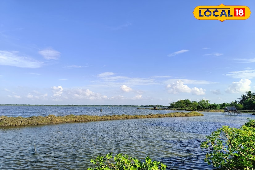 তবে স্থানীয়রা বলেন, সন্ধ্যার পর এই এলাকা কিছুটা নির্জন হয়ে পড়ে, তাই দিনের আলোতেই ঘুরে আসা ভাল। সময় হাতে নিয়ে একদিনের ছোট্ট ভ্রমণে যদি খুঁজে নিতে চান প্রকৃতির শান্ত সৌন্দর্য, তবে হাড়োয়ার সমোজপুরই হতে পারে আপনার পরের গন্তব্য— যেখানে নীরবতা কথা বলে, আর প্রকৃতি আপনাকে জড়িয়ে ধরে নিঃশব্দে।