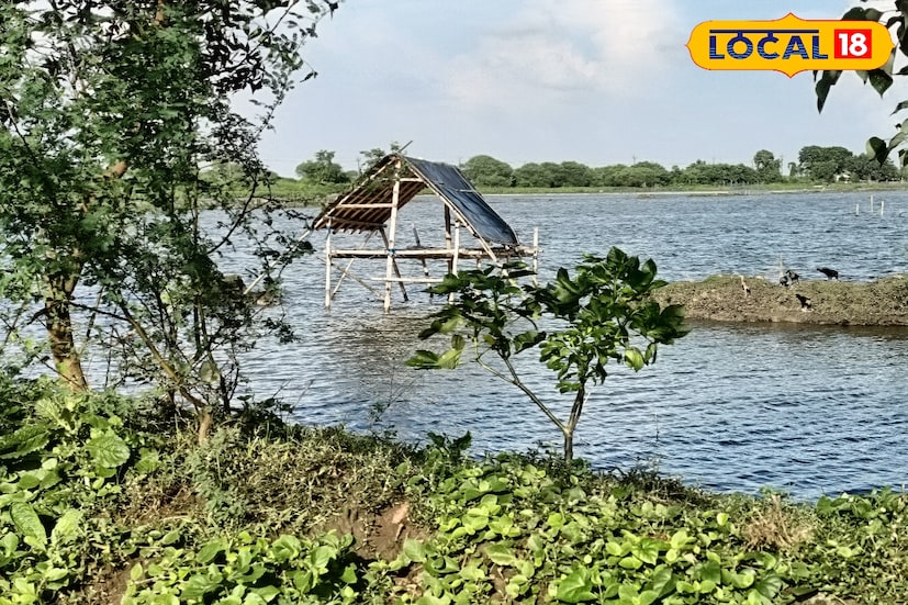 কলকাতা থেকে খুব বেশি দূরে নয়, উত্তর ২৪ পরগনার হাড়োয়ার কুটলি সমোজপুর এলাকা এমনই এক মনোমুগ্ধকর গন্তব্য। সবুজ গাছপালায় ঘেরা প্রশস্ত রাস্তা, দূরে পাখির ডাক আর হালকা বাতাসের ছোঁয়া— একেবারে অন্যরকম অনুভূতি এনে দেয়। এখানে পৌঁছালে শহরের কোলাহল মিলিয়ে যায়, বদলে যায় সময়ের গতি, আর মনে জেগে ওঠে প্রশান্তির ঢেউ।