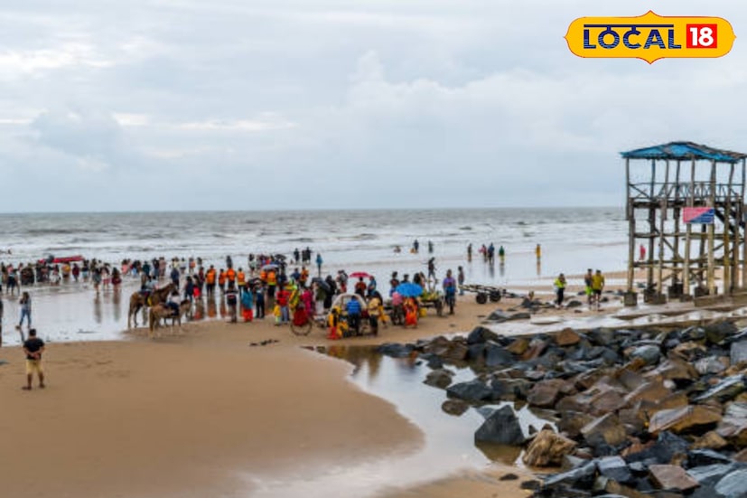 রিসর্টের চিফ এগজ়িকিউটিভ অফিসার সৃঞ্জয় বসু মন্দারমণি উপকূল থানায় লিখিত অভিযোগ দায়ের করেন। তাঁর দাবি, রিসর্টের আসল লোগো, ছবি ও নাম ব্যবহার করে নকল ওয়েবসাইট বানিয়ে প্রতারণা করা হচ্ছে। এমনকি রিসর্টের ছবিসহ ভুয়ো হোয়াটসঅ্যাপ অ্যাকাউন্ট খুলে পর্যটকদের জাল কিউআর কোড পাঠানো হচ্ছে। পর্যটকেরা টাকা পাঠানোর পর জাল বিল পাচ্ছেন এবং ভুয়ো বুকিং মেসেজও পাচ্ছেন।