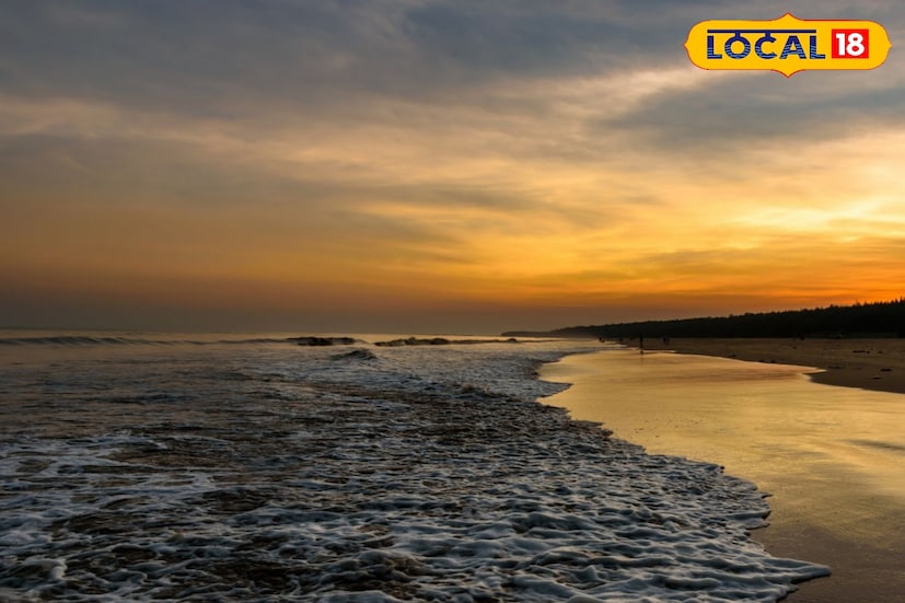 সম্প্রতি প্রতারণা শিকার হয়েছেন দক্ষিণ ২৪ পরগনার সোনারপুরের বাসিন্দা বিশ্বরূপ সমাদ্দার। মন্দারমণির এক রিসর্টে থাকার পরিকল্পনা ছিল তাঁর। রিসর্টের নাম ব্যবহার করে তৈরি নকল ওয়েবসাইটে গিয়ে তিনি বুকিং করেন এবং ২৭ হাজার টাকা অগ্রিম পরিশোধ করেন। পরে জানতে পারেন, পুরো ওয়েবসাইটটাই জাল। প্রতারিত হওয়ার পর তিনি রিসর্ট কর্তৃপক্ষের সঙ্গে যোগাযোগ করলে আসল ঘটনাটি প্রকাশ্যে আসে।