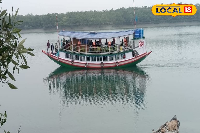 আস্তে আস্তে শীত পড়তে শুরু করবে আর তাতেই সুন্দরবনে বাড়বে পর্যটকদের আনাগোনা। আর তাই সুন্দরবন ভ্রমণের পর্যটকদের জন্য রইল কিছু নতুন ধরনের টিপস। কোথায় যাবেন? কী খাবেন? কোথায় কোথায় থাকবেন? সবকিছুই জেনে নিন। (ছবি ও তথ্য: সুমন সাহা)