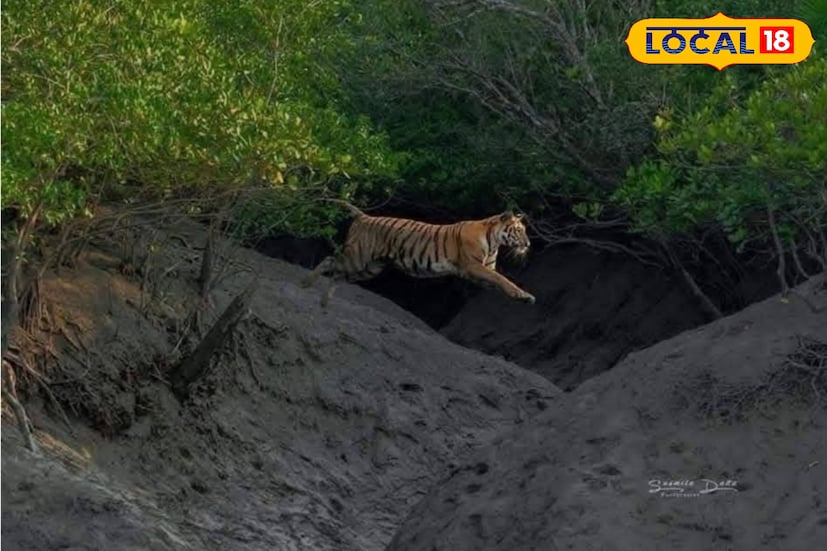 বন্যপ্রাণী দর্শন বাঘ, কুমির, হরিণ ও নানারকম পাখি খুব সহজেই দেখা যায়। মাতলা নদীতে নৌকা ভ্রমণের মাধ্যমে প্রকৃতির কাছাকাছি যাওয়ার দারুণ সুযোগ পাওয়া যায়। টাটকা মাছ ও কাঁকড়ার রান্না মাতলা নদী অঞ্চলের এক অনন্য স্বাদ প্রদান করে।