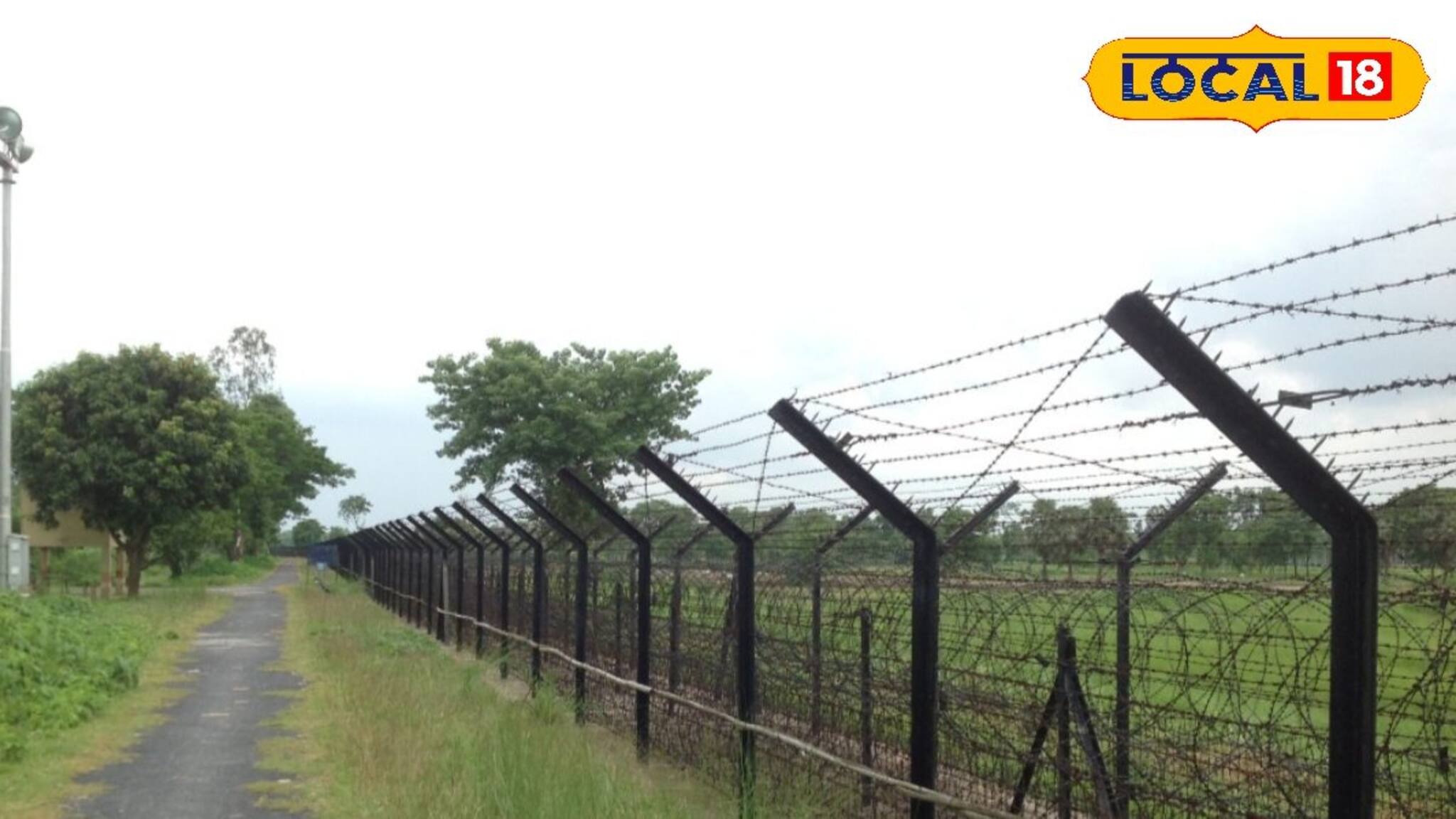 এসআইআর শুরু হতেই বাংলাদেশে ফেরার চেষ্টা, সীমান্তে গ্রেফতার ১১ জন বাংলাদেশি