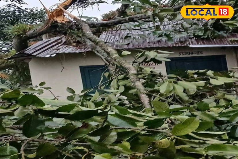অন্যদিকে, দার্জিলিংয়ে প্রবল বৃষ্টির কারণে লিজাহিল প্রাইমারি স্কুলের পাশে একটি বড় গাছ ভেঙে পড়ে স্কুল ভবনের আংশিক ক্ষতি হয়েছে। স্থানীয় জিটিএ সদস্য ঘটনাস্থল পরিদর্শন করে দ্রুত মেরামতির আশ্বাস দিয়েছেন। এলাকাবাসী আপাতত আতঙ্কে দিন কাটাচ্ছেন, কারণ পাহাড়ে আরও বৃষ্টির পূর্বাভাস রয়েছে। ছবি ও তথ্য : ঋত্বিক ভট্টাচার্য