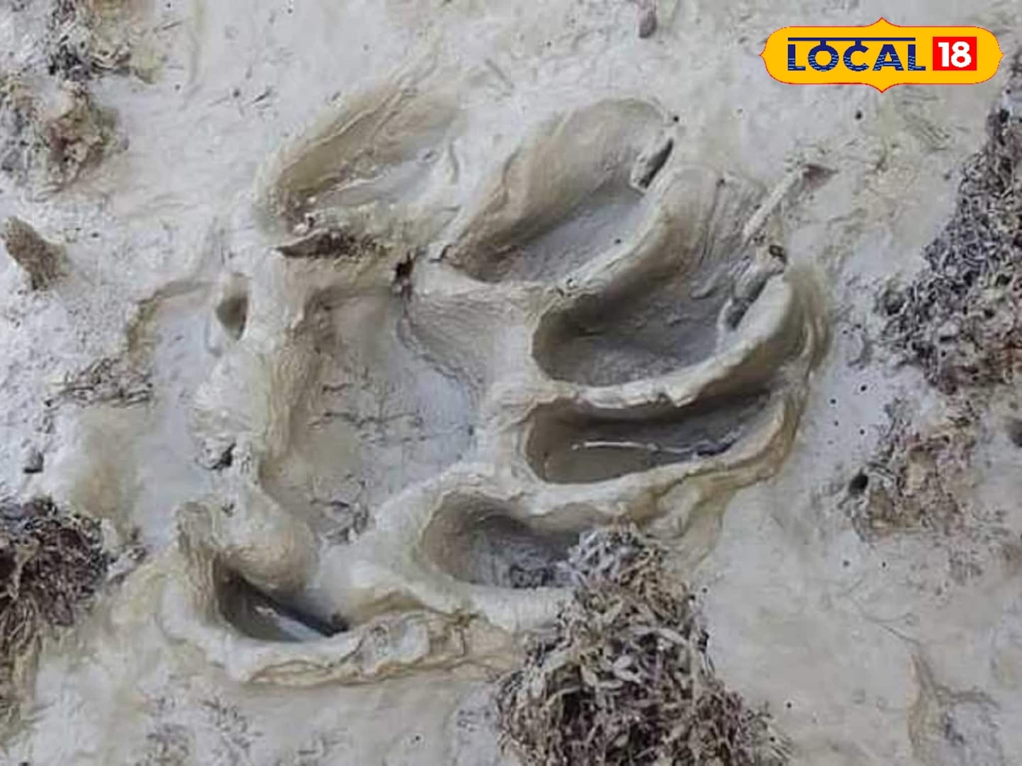 গড়বেতায় রহস্যময় পদচিহ্ন, এলাকাজুড়ে বন্য জন্তুর ভয়