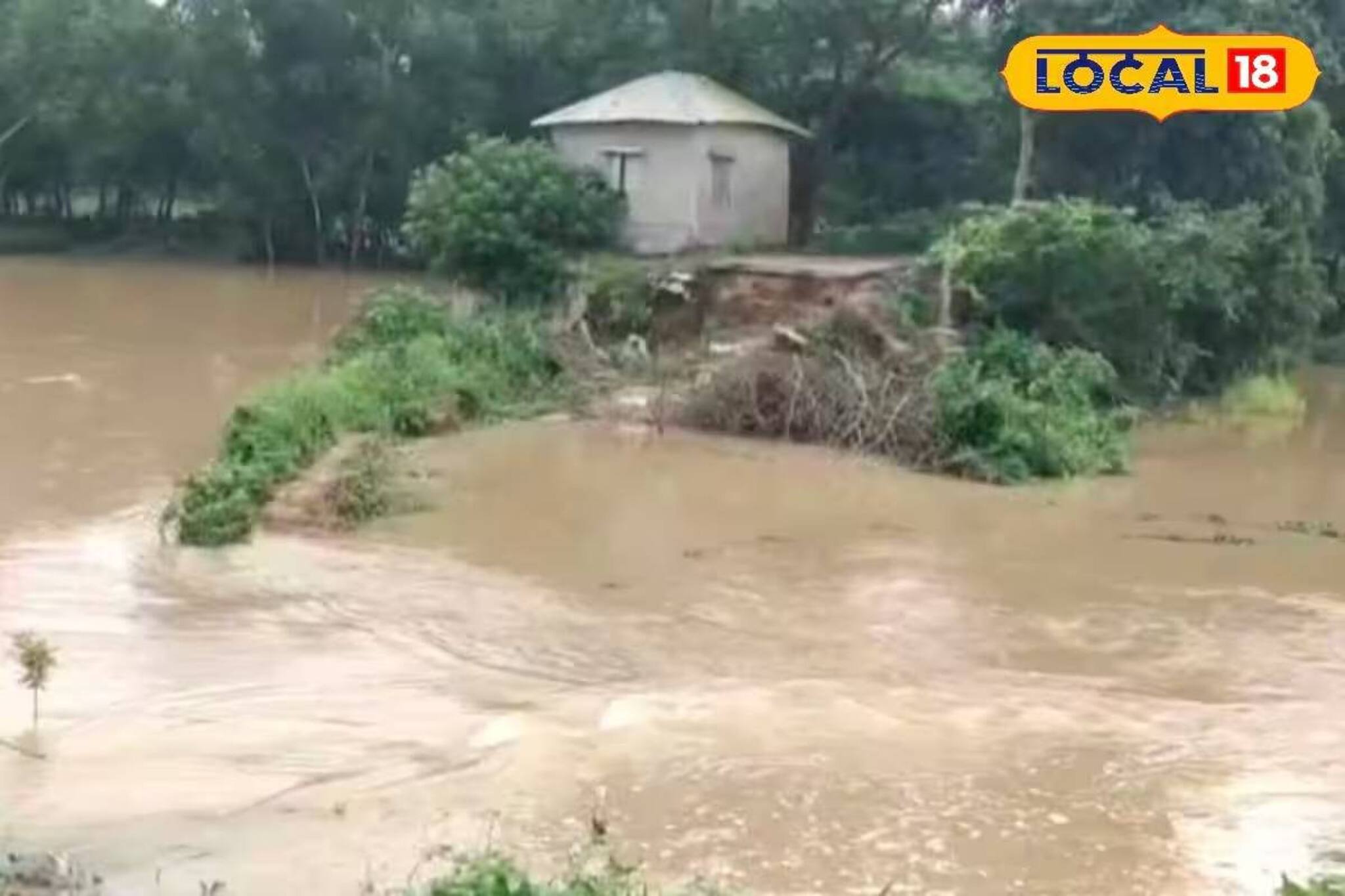 অতিবৃষ্টিতে জলের তলায় বিঘার পর বিঘা কৃষিজমি! ক্ষতিপূরণ নিয়ে বড় আপডেট দিলেন বিডিও