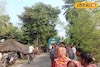 গরুকে জল দিতে গিয়ে বিপত্তি! বেপরোয়া বাইকের ধাক্কায় বৃদ্ধের মর্মান্তিক পরিণতি