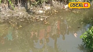 হিঙ্গলগঞ্জে খাল থেকে সদ্যজাতের দেহ উদ্ধার 