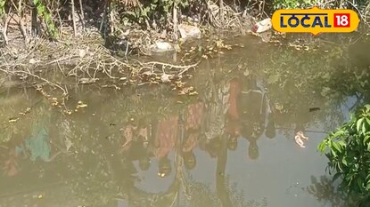 হিঙ্গলগঞ্জে খাল থেকে সদ্যজাতের দেহ উদ্ধার হিঙ্গলগঞ্জে খাল থেকে সদ্যজাতের দেহ উদ্ধার