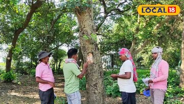 মালদহের