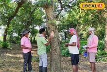 Bird Count: জনগণনার মতোই পাখি গণনা! আপনার এলাকায় কতগুলি পাখি রয়েছে জানতে চান? শিখে রাখুন এই পদ্ধতি