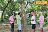 আপনার এলাকায় কতগুলি পাখি রয়েছে জানতে চান? শিখে রাখুন এই পদ্ধতি