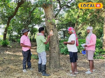 মালদহের