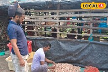 Prawn Business: আমেরিকার শুল্ক বাণে কাবু জেলার চিংড়ি চাষ! ভেড়িতে মড়ক, দ্রুত সমাধান না হলে লাটে উঠবে ব্যবসা