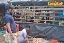 আমেরিকার শুল্ক বাণে কাবু জেলার চিংড়ি চাষ! ভেড়িতে মড়ক, ব্যবসা বন্ধ হওয়ার জো