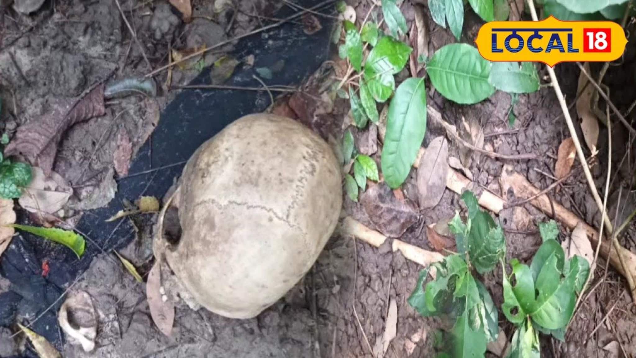 লালগড়ের জঙ্গলে কী যেন পড়ে, কাছে যেতেই হাড়হিম করা দৃশ্য! মানুষের মাথার খুলি, হাড়গোড়...! লোকালয়ের আড়ালে কী ঘটছে?