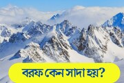 GK: বলুন তো দেখি, বরফের রং কেন সাদা হয়? সঠিক উত্তর অজানা অনেকের