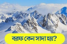 GK: বলুন তো দেখি, বরফের রং কেন সাদা হয়? সঠিক উত্তর অজানা অনেকের