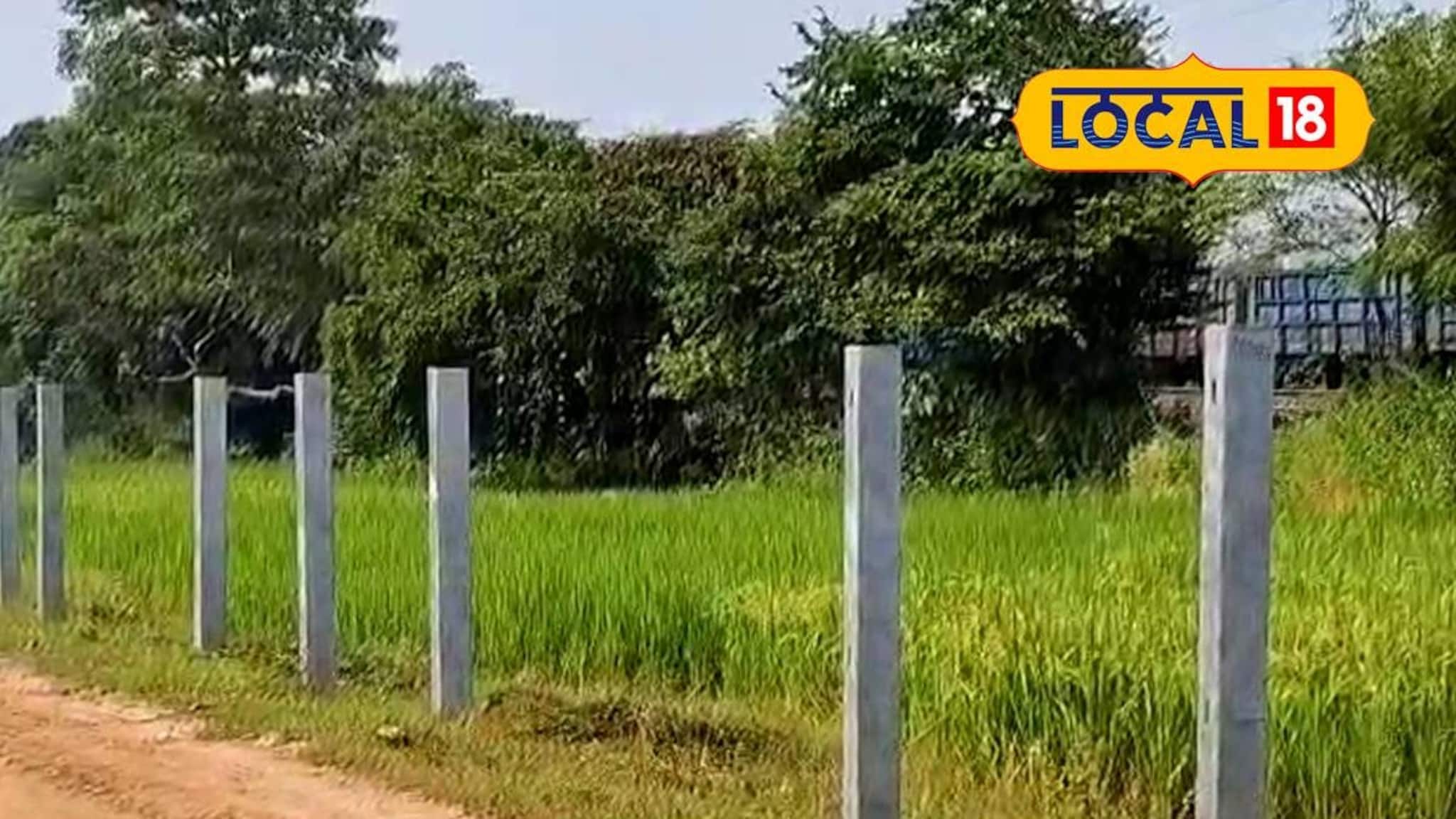 Jhargram News: হাতির গতিপথে গার্ডরেল! রেলের সিদ্ধান্তে বন দফতরের আপত্তি, সিঁদুরে মেঘ দেখছেন এলাকার বহু মানুষও