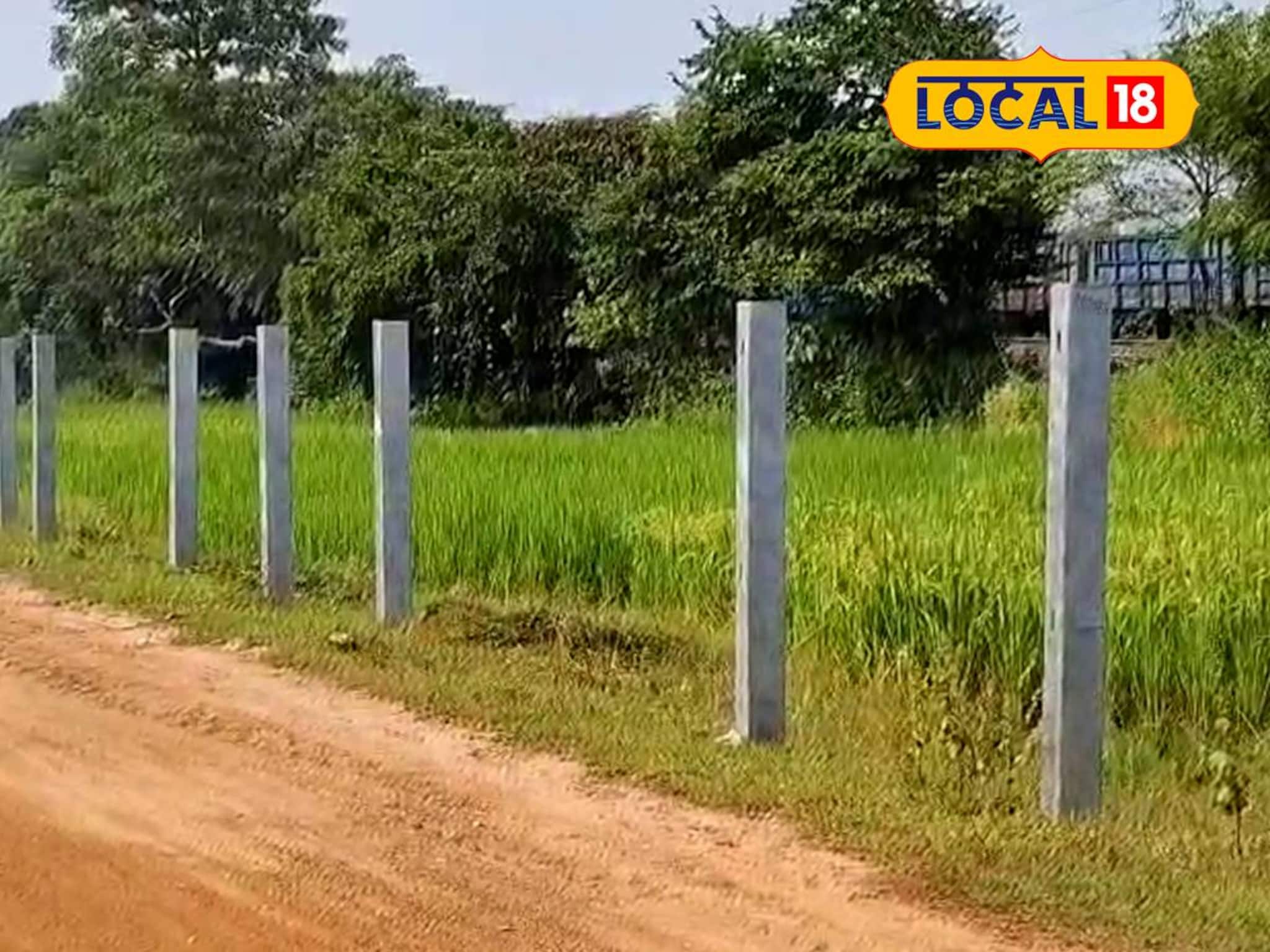 Jhargram News: হাতির গতিপথে গার্ডরেল! রেলের সিদ্ধান্তে বন দফতরের আপত্তি, সিঁদুরে মেঘ দেখছেন এলাকার বহু মানুষও