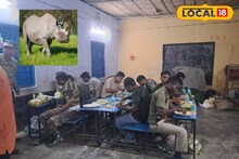 Jaldapara Rhino Rescue: সফল অপারেশন রাইনো! দুর্যোগের পর ১০ গন্ডারকে ঘরে ফিরিয়ে উল্লাস জলদাপাড়ায়, রাতে বনকর্মীদের খানাপিনা