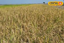 পর্যটনের জন্য উত্তরবঙ্গ সেরে উঠলেও পাহাড়ের স্থানীয় বাসিন্দারা এখনও বিশ বাঁও জলে!