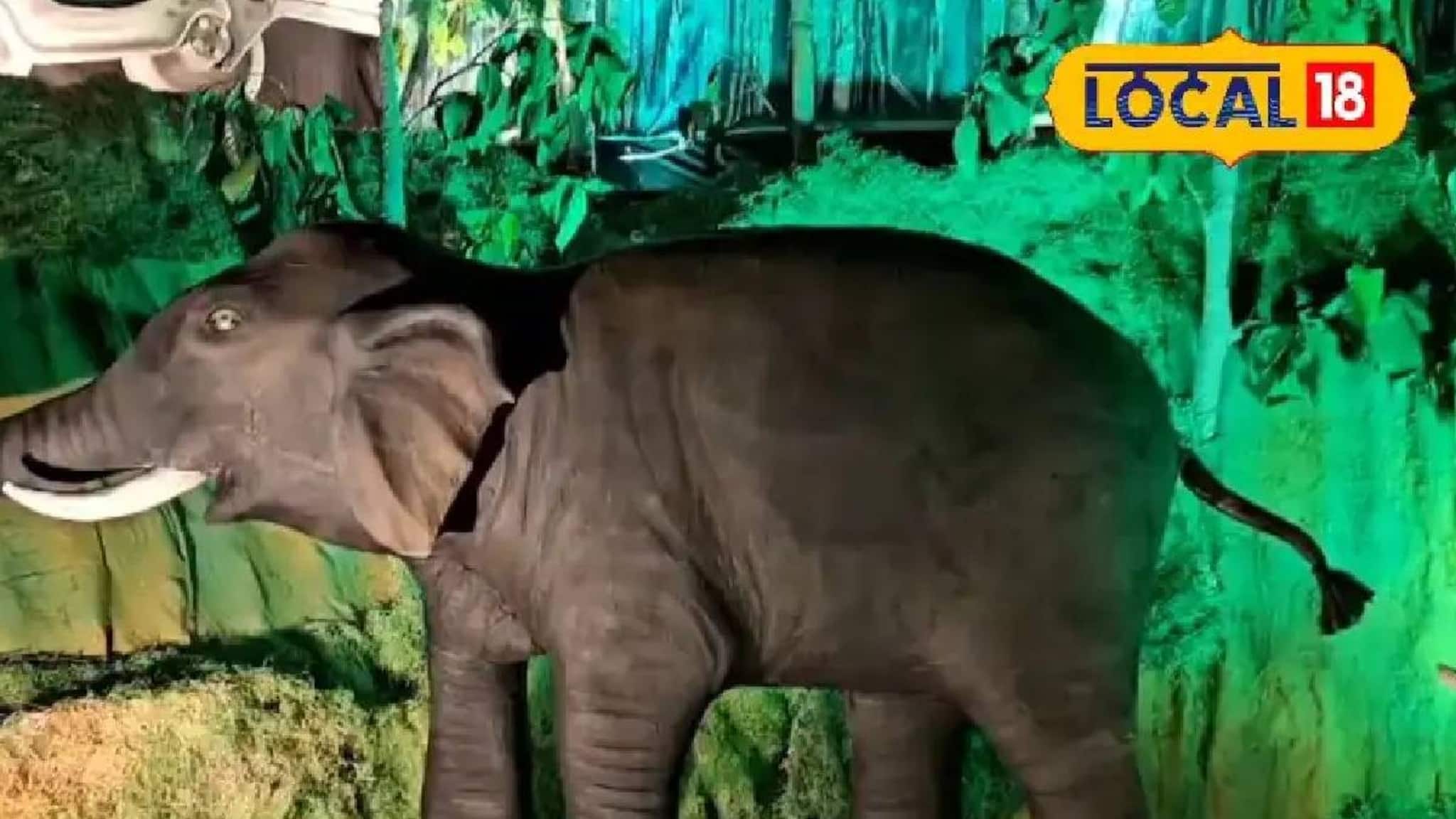 Kali Puja 2025: পুজো মণ্ডপে মানুষ-হাতির সহাবস্থানের বার্তা! শিক্ষণীয় থিমে নজর কাড়ছে ঝাড়গ্রামের 'এই' কালীপুজো, এক ক্লিকে দেখুন