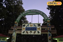 Jhargram Zoo: পর্যটকদের জন্য সুখবর! শাল-পিয়ালের জঙ্গলে দেখা মিলবে জোড়া রয়‍্যাল বেঙ্গলের, শীতের আগেই জুলজিক্যাল পার্কের ভোলবদল