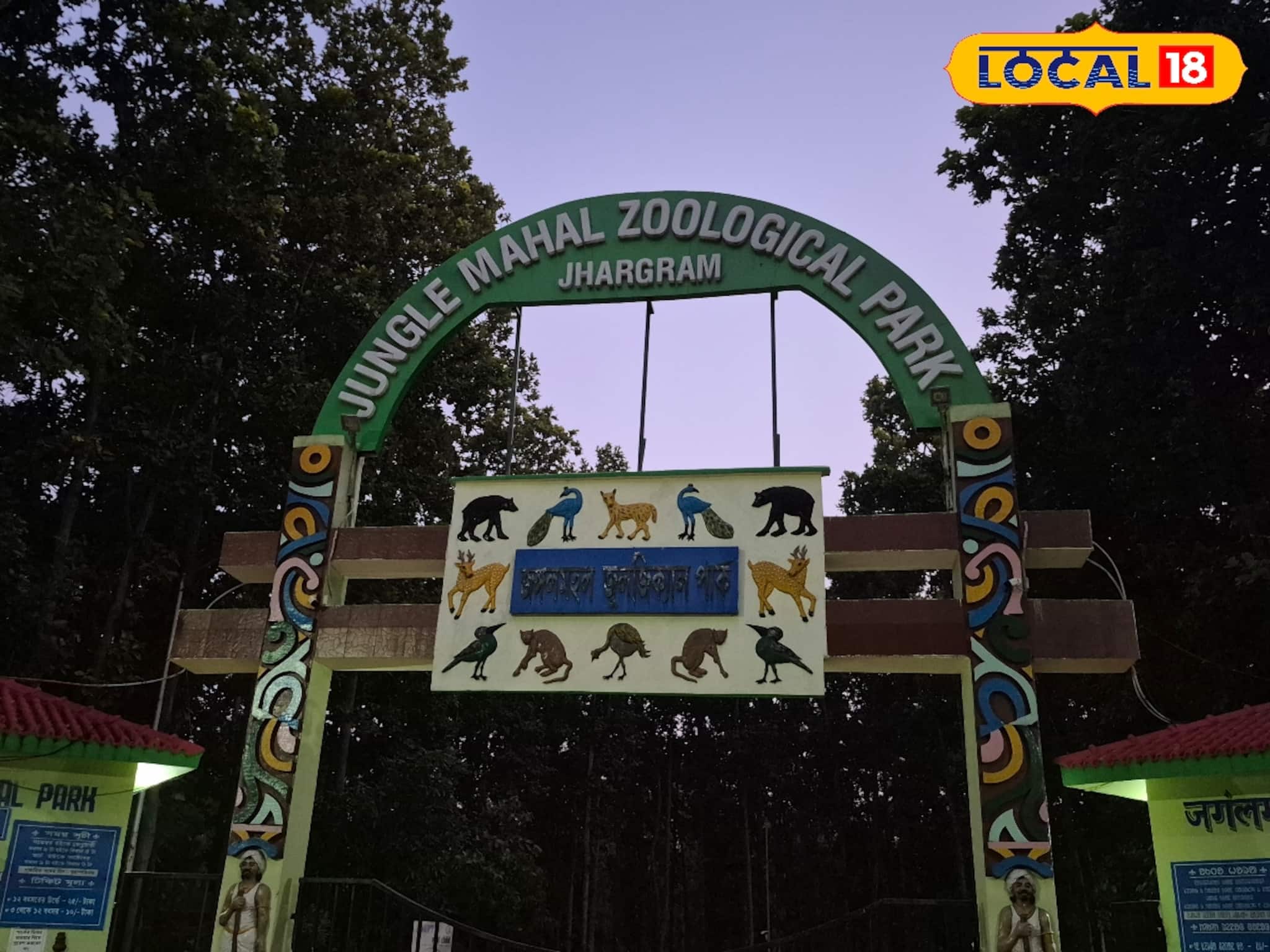 Jhargram Zoo: পর্যটকদের জন্য সুখবর! শাল-পিয়ালের জঙ্গলে দেখা মিলবে জোড়া রয়‍্যাল বেঙ্গলের, শীতের আগেই জুলজিক্যাল পার্কের ভোলবদল
