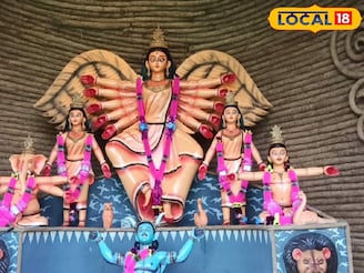 পুজোর থিমে পরিবেশ সচেতনতার বার্তা! ‘ইচ্ছেডানা’ থিমে নজর কাড়ছে বর্ধমানের ১৬ লক্ষের পুজো!