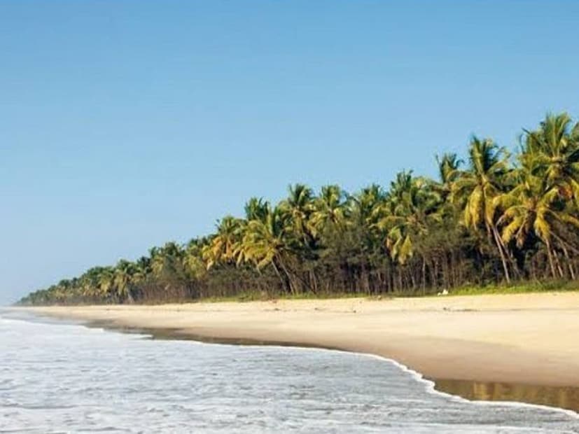 কর্ণাটকের কাসারকোড় বিচ: কাসারকোড় বিচের শান্ত পরিবেশ এবং স্ফটিক-স্বচ্ছ উপকূলরেখা এটিকে একটি শান্তিপূর্ণ উপকূলীয় বিশ্রামস্থল করে তোলে।