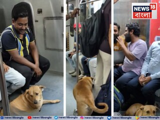 মেট্রোর কামরায় পথ কুকুর৷ 