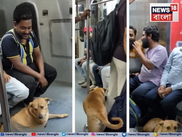 মেট্রোর কামরায় পথ কুকুর৷ 