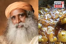 Sadhguru Health Tips: আমলকি-মধু-গোলমরিচ রোজ খেলে শরীরে কী হয় জানেন? সদগুরুর টিপস মানলে বুড়িয়ে যাবেন না অকালে, কোলেস্টেরল-রক্তচাপও বশে থাকবে