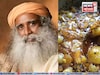আমলকি-মধু-গোলমরিচ রোজ খেলে শরীরে কী হয় জানেন? সদগুরুর টিপস মানলে বুড়িয়ে যাবেন না অকালে