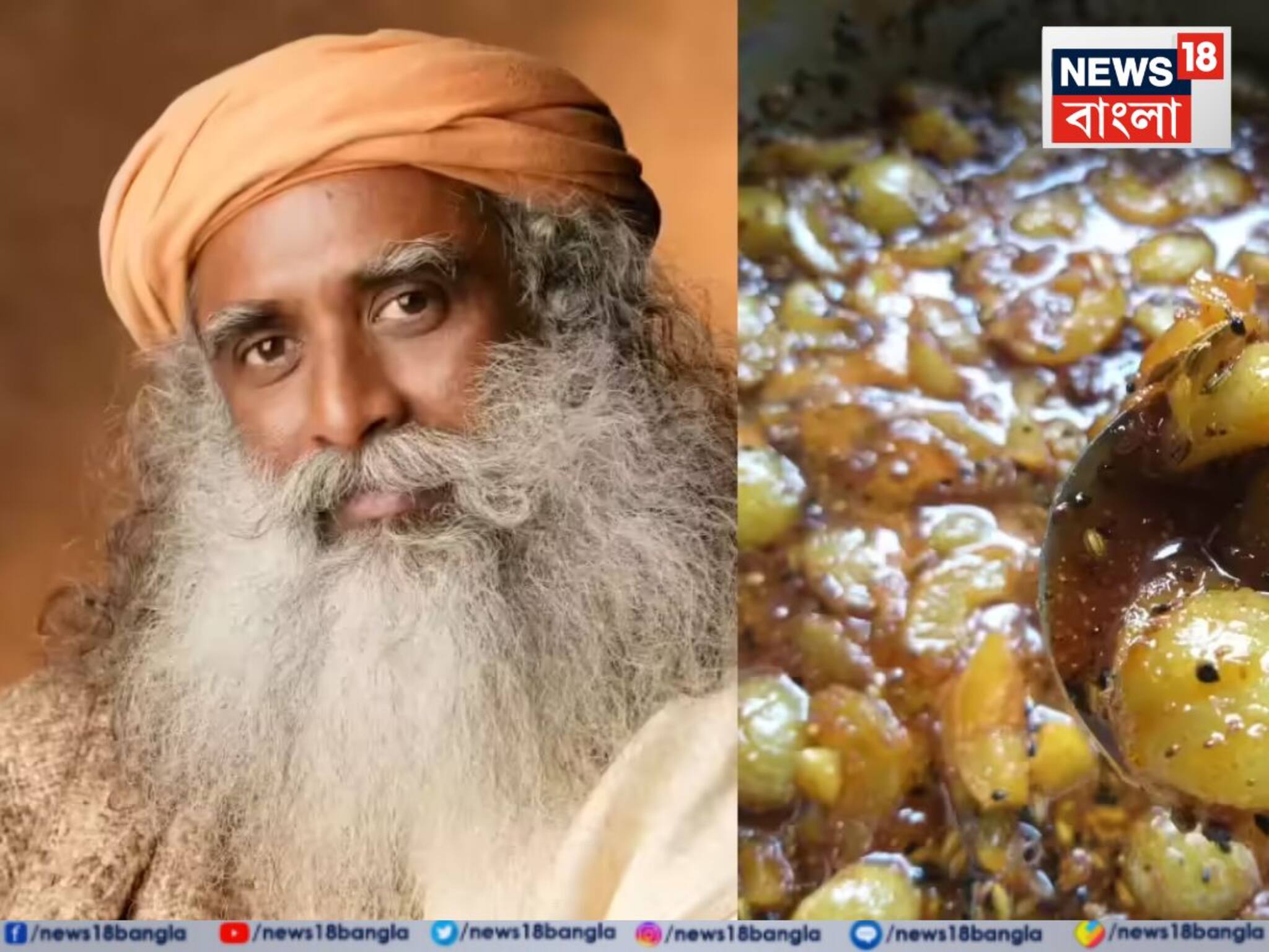 Sadhguru Health Tips: আমলকি-মধু-গোলমরিচ রোজ খেলে শরীরে কী হয় জানেন? সদগুরুর টিপস মানলে বুড়িয়ে যাবেন না অকালে, কোলেস্টেরল-রক্তচাপও বশে থাকবে