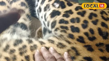 বিষ্ণুপুরের