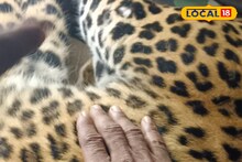 Leopard: বাঁকুড়ায় পুরুষ লেপার্ডের দেহ উদ্ধার! তবে কি সঙ্গিনী ঘুরছে জঙ্গলে? আশঙ্কায় বন দফতরের মাইকিং
