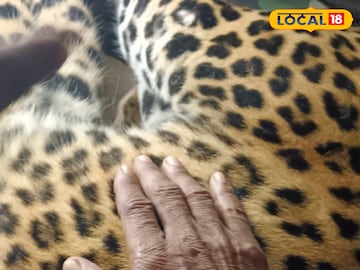 বিষ্ণুপুরের বিষ্ণুপুরের